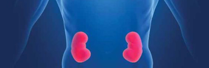 Advanced Training in Nephrology