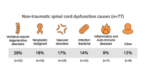 Picture6 Causes of non-traumatic SCI